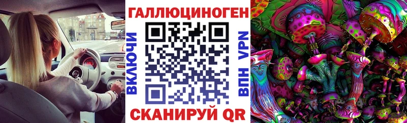 закладка  Сураж  Псилоцибиновые грибы MAGIC MUSHROOMS 