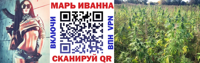 Марихуана SATIVA & INDICA Сураж